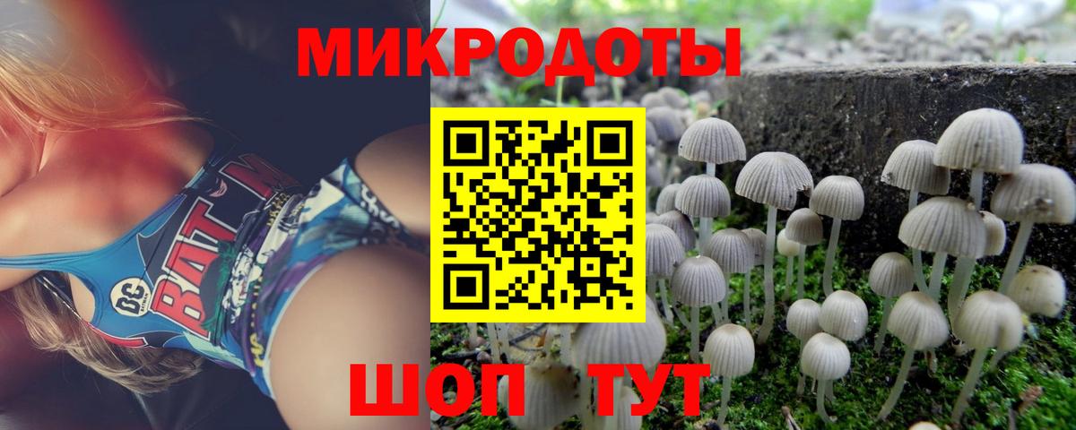 Псилоцибиновые грибы GOLDEN TEACHER  Галлюциногенные грибы Magic Shrooms  Юрга  Вход с VPN 